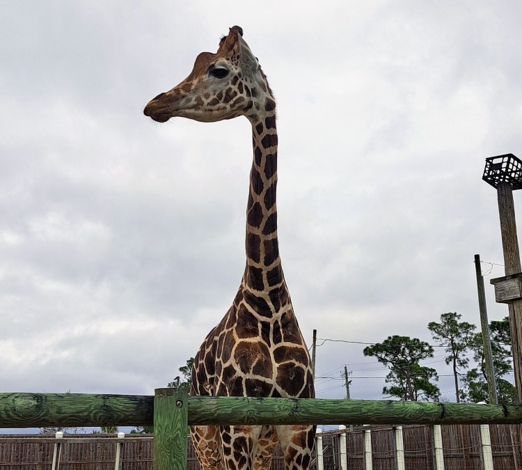 ZooWorld Zoological Park (Panama&nbspCity&nbspBeach,&nbspFL)